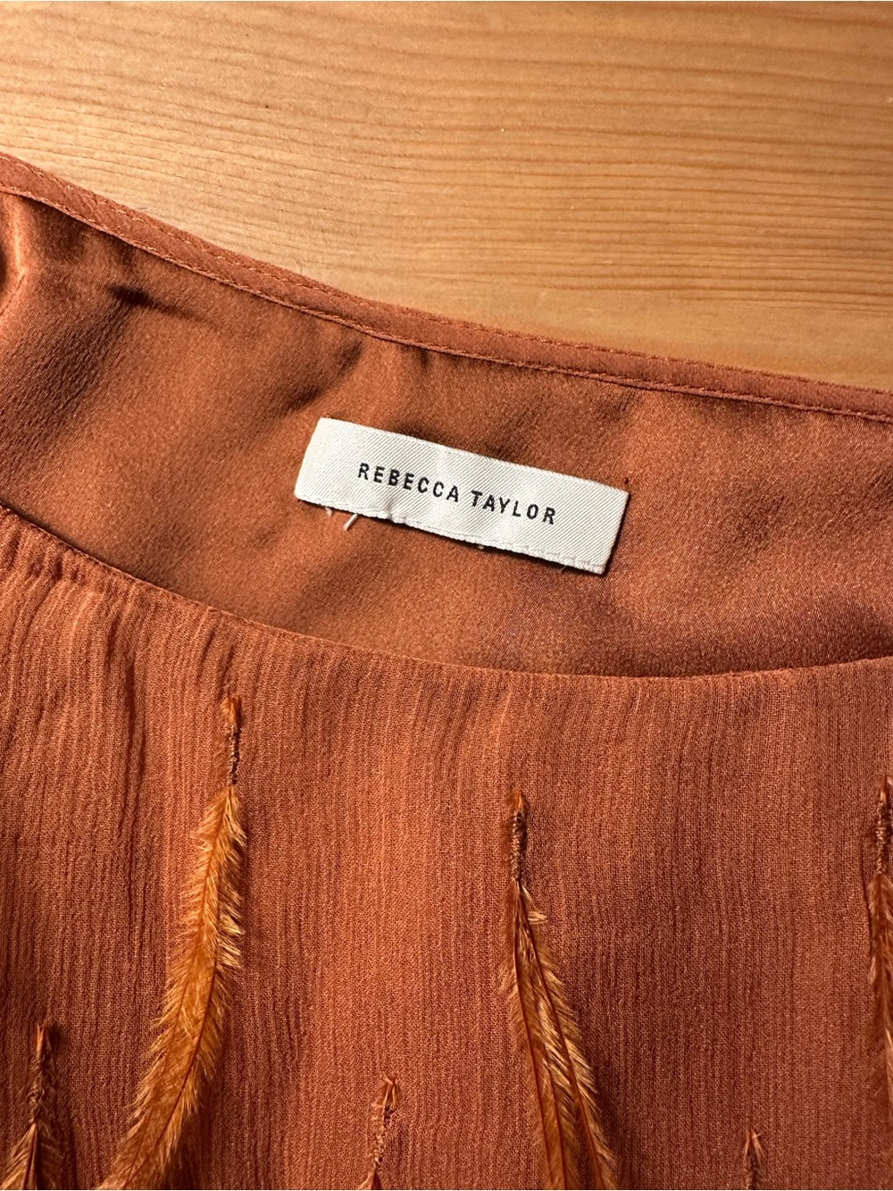 Rebecca Taylor Feather-Trim Slip Dress in Rust Orange - Picture 7 of 8